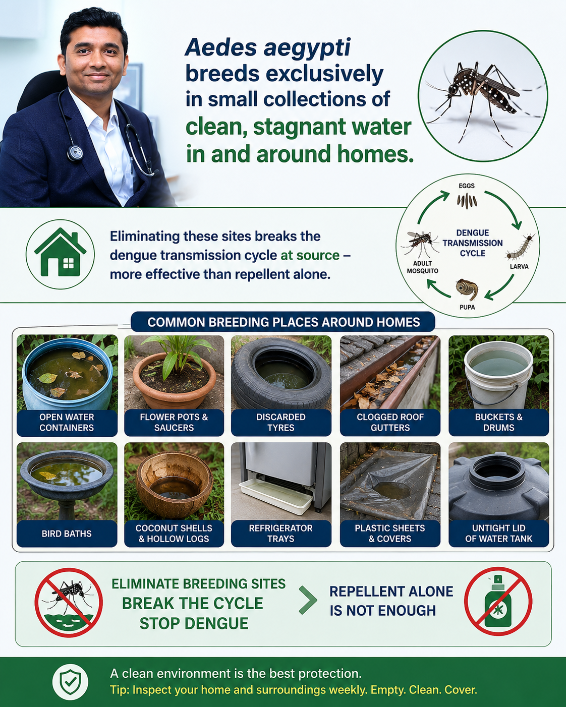 Mosquito breeding sites Surat monsoon prevention